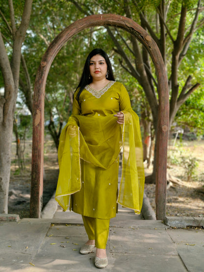Elegant Olive Green Embroidered Suit Set